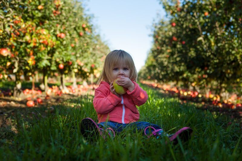 Children diagnosed with diabetes can use ugly fruits